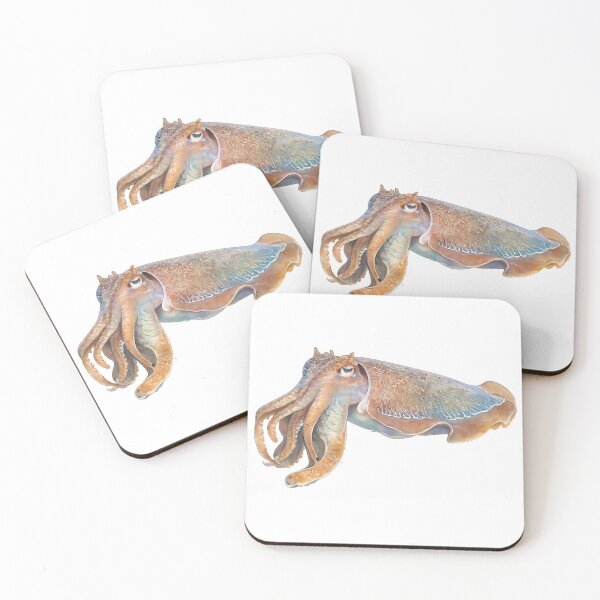 Item preview, Giant Cuttlefish Watercolour — Australian Cephalopod designed and sold by Jaruart.