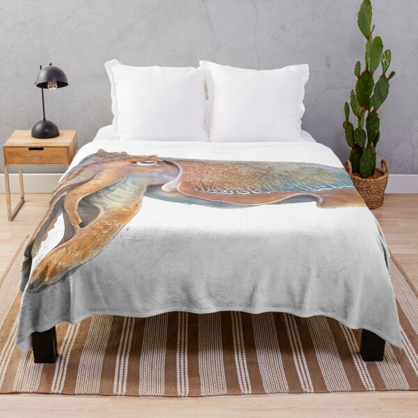 Item preview, Giant Cuttlefish Watercolour — Australian Cephalopod designed and sold by Jaruart.