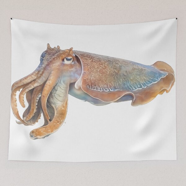 Item preview, Giant Cuttlefish Watercolour — Australian Cephalopod designed and sold by Jaruart.