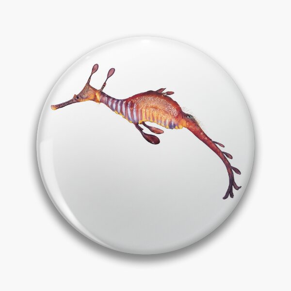 Item preview, Weedy Seadragon Watercolour — Ocean Marine Life designed and sold by Jaruart.