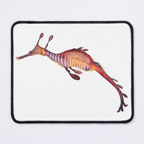 Item preview, Weedy Seadragon Watercolour — Ocean Marine Life designed and sold by Jaruart.
