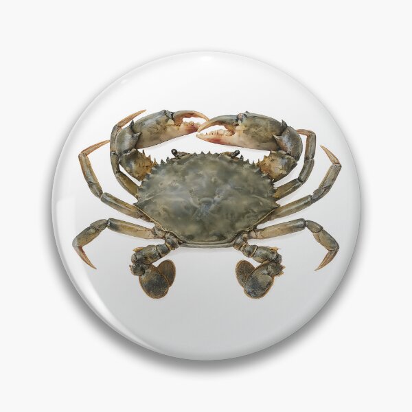 Artikelvorschau, Mud Crab Watercolour — Australian Mangrove Crab entworfen und verkauft von Jaruart.