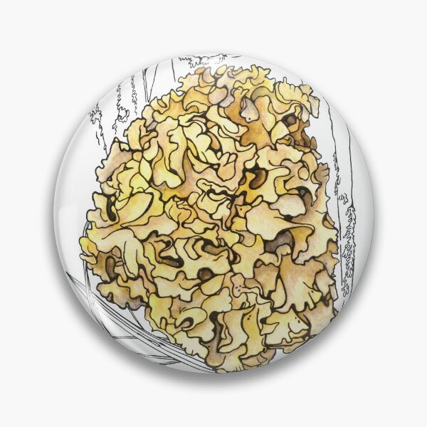 Item preview, Cauliflower Mushroom Sparassis Crispa Botanical Illustration  designed and sold by Anna Ratkevich.