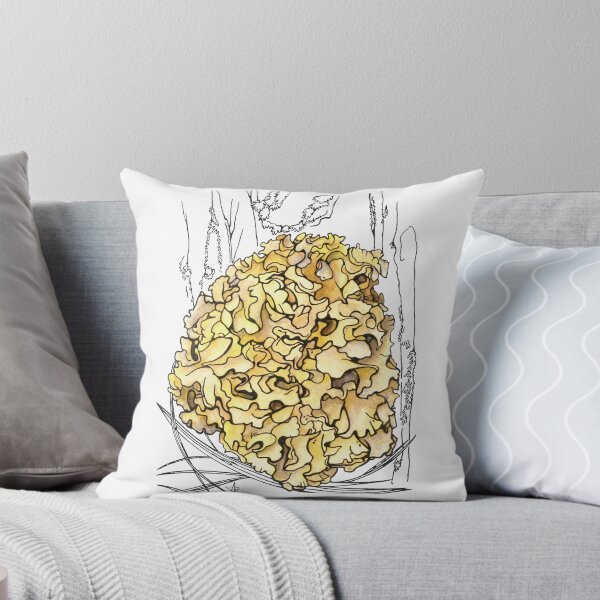 Item preview, Cauliflower Mushroom Sparassis Crispa Botanical Illustration  designed and sold by Anna Ratkevich.