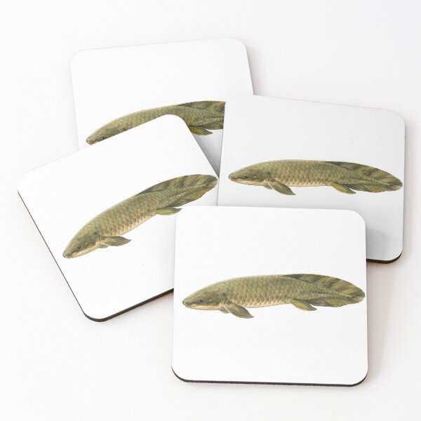 Item preview, Queensland Lungfish Watercolour — Living Fossil designed and sold by Jaruart.