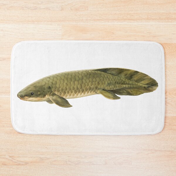 Item preview, Queensland Lungfish Watercolour — Living Fossil designed and sold by Jaruart.