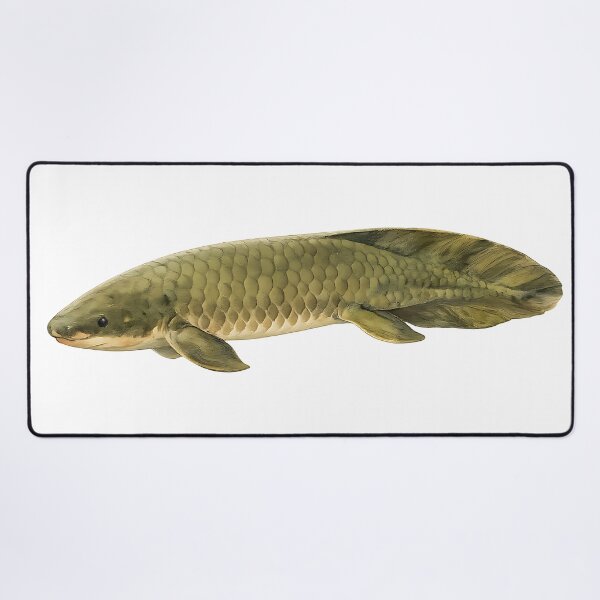 Item preview, Queensland Lungfish Watercolour — Living Fossil designed and sold by Jaruart.