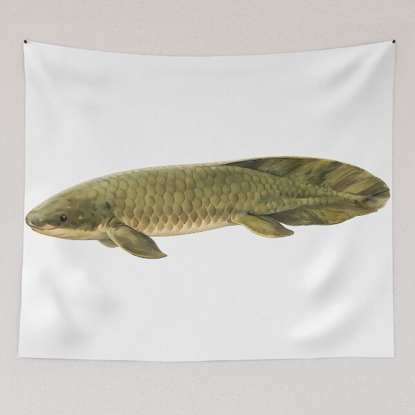 Item preview, Queensland Lungfish Watercolour — Living Fossil designed and sold by Jaruart.