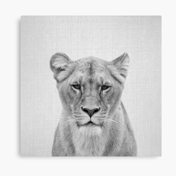 Item preview, Lioness - Black & White designed and sold by galdesign.
