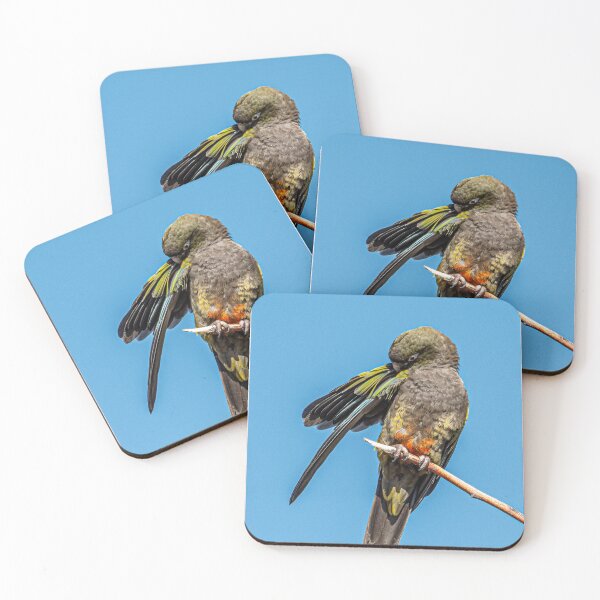 Item preview, Blue Orange Patagonian Parakeet Nature designed and sold by Keltoi-art.