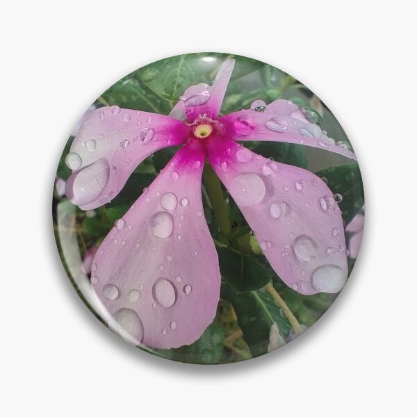 Item preview, Rain-Kissed Pink Periwinkle Flower | Fresh Nature Photography designed and sold by harshartsz.