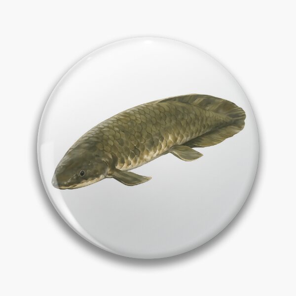 Item preview, Queensland Lungfish — Painted Native River Fish designed and sold by Jaruart.