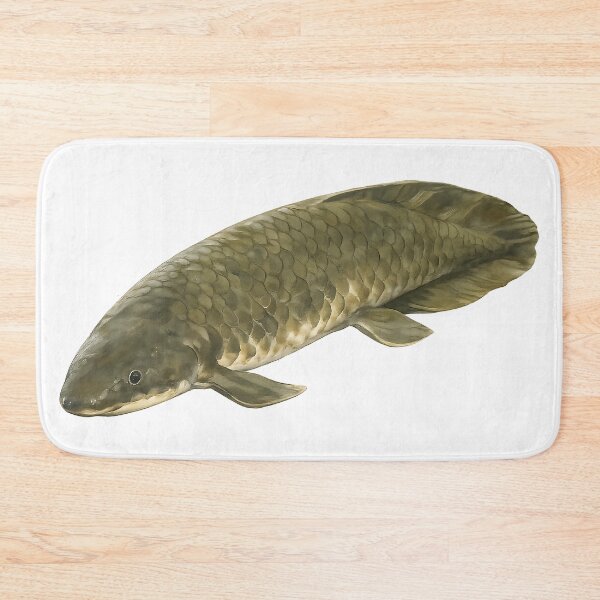 Item preview, Queensland Lungfish — Painted Native River Fish designed and sold by Jaruart.
