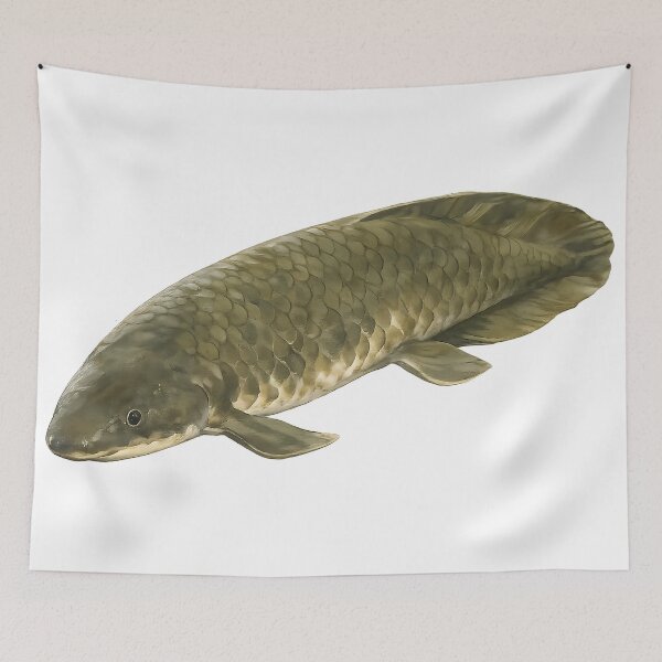 Item preview, Queensland Lungfish — Painted Native River Fish designed and sold by Jaruart.