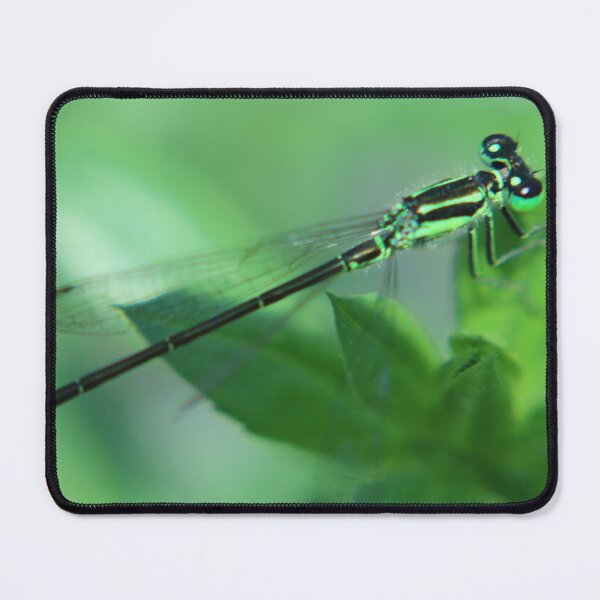Item preview, Green Dragonfly designed and sold by Eddie G's Photographies.