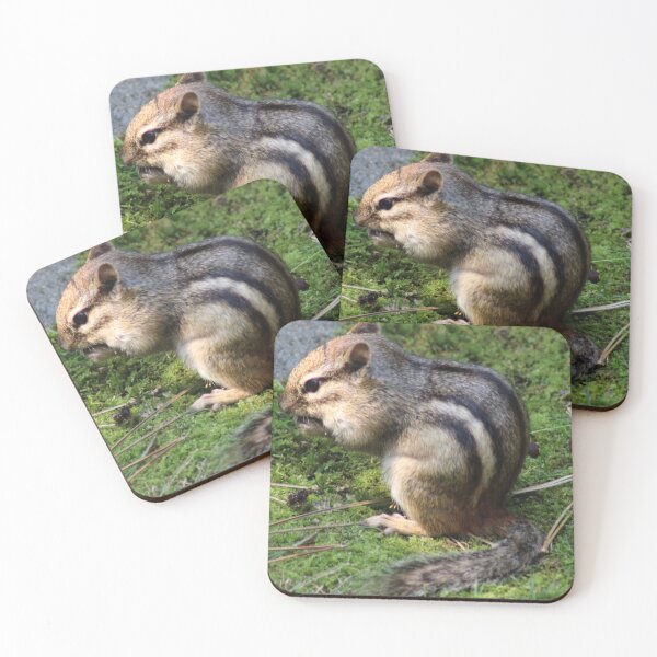 Item preview, Chipmunk Munching designed and sold by Edward G's Photographies.