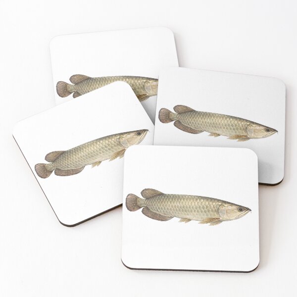 Item preview, Saratoga Watercolour — Australian Freshwater Fish designed and sold by Jaruart.