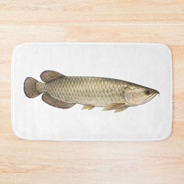 Item preview, Saratoga Watercolour — Australian Freshwater Fish designed and sold by Jaruart.