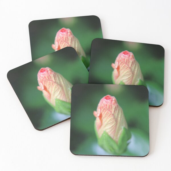 Item preview, Pink Flower Bud Opening designed and sold by Eddie G's Photographies.