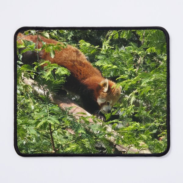 Item preview, red panda designed and sold by littlegreennote.