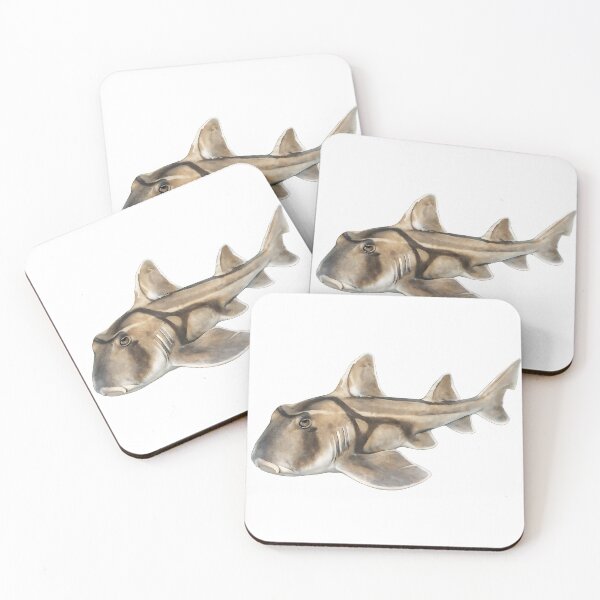 Item preview, Port Jackson Shark — Painted Horn Shark Portrait designed and sold by Jaruart.