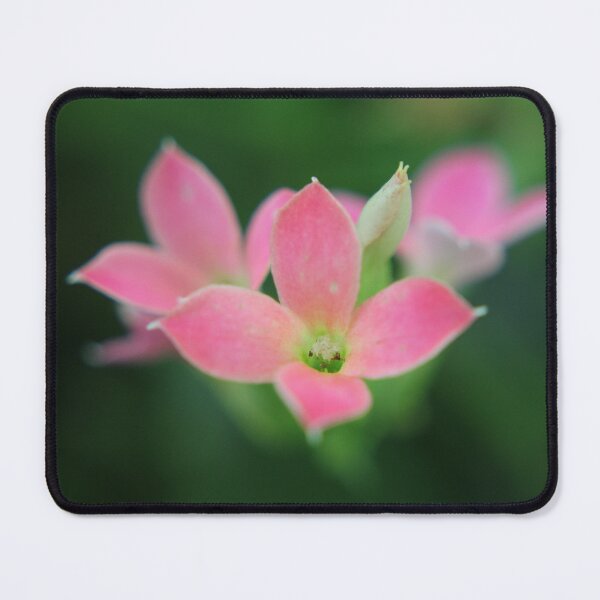 Item preview, Pink Flowers on a green background designed and sold by Eddie G's Photographies.