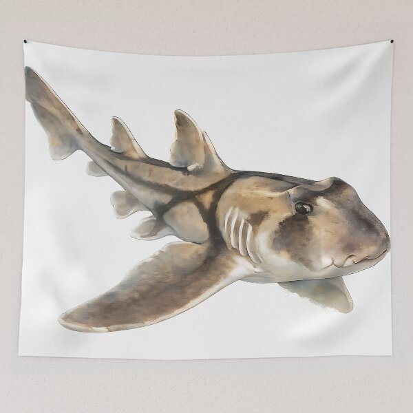 Item preview, Port Jackson Shark Watercolour Illustration designed and sold by Jaruart.