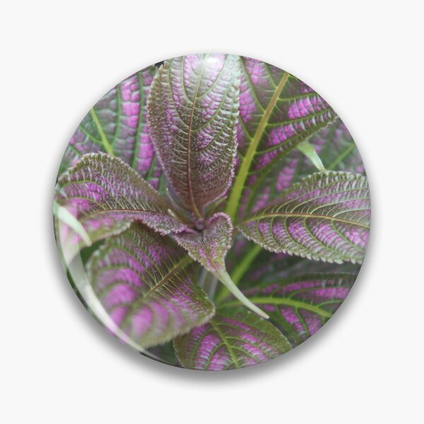 Item preview, A patch of Purple and Green Leaves designed and sold by Eddie G's Photographies.