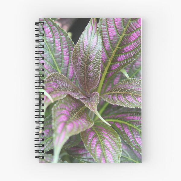 Item preview, A patch of Purple and Green Leaves designed and sold by Eddie G's Photographies.
