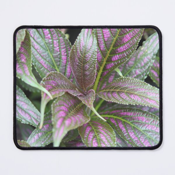 Item preview, A patch of Purple and Green Leaves designed and sold by Eddie G's Photographies.