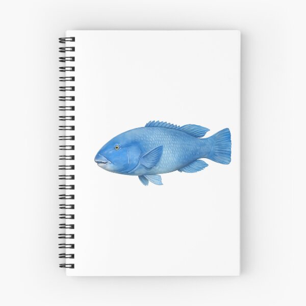 Item preview, Eastern Blue Groper Watercolour — Reef Fish designed and sold by Jaruart.