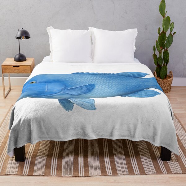 Item preview, Eastern Blue Groper Watercolour — Reef Fish designed and sold by Jaruart.