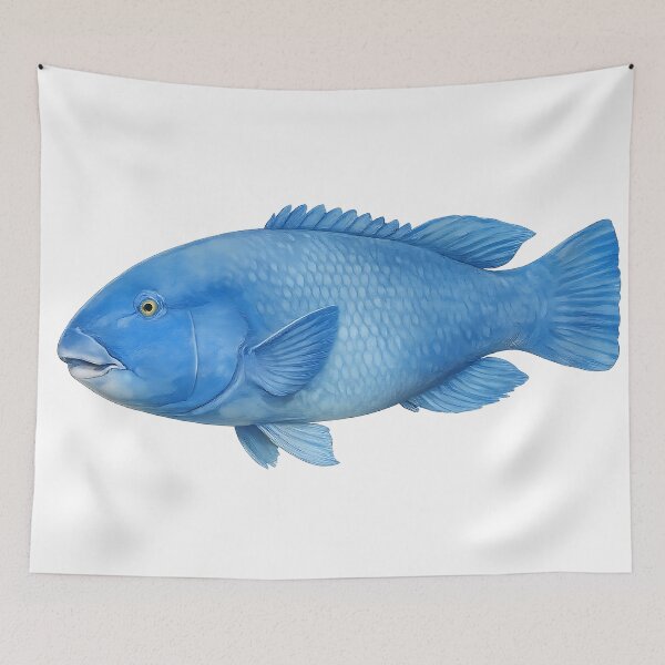 Item preview, Eastern Blue Groper Watercolour — Reef Fish designed and sold by Jaruart.