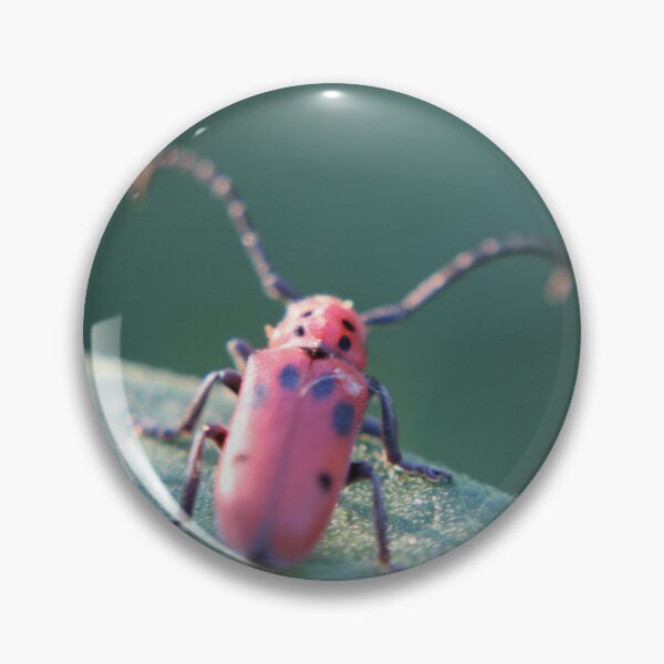 Item preview, Red Milkweed Longhorn Beetle Contemplating designed and sold by Edward G's Photographies.