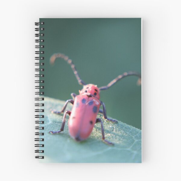 Item preview, Red Milkweed Longhorn Beetle Contemplating designed and sold by Edward G's Photographies.