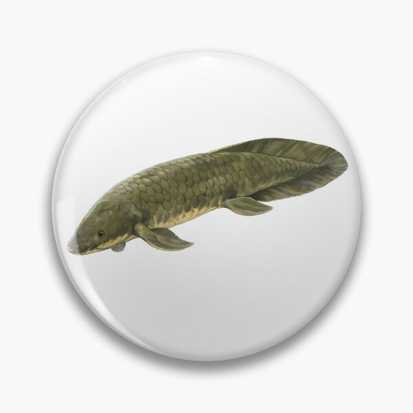 Item preview, Queensland Lungfish Watercolour Illustration designed and sold by Jaruart.