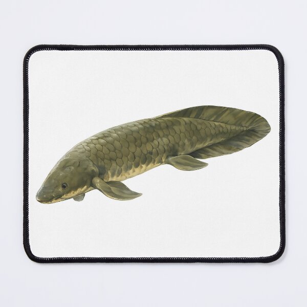 Item preview, Queensland Lungfish Watercolour Illustration designed and sold by Jaruart.
