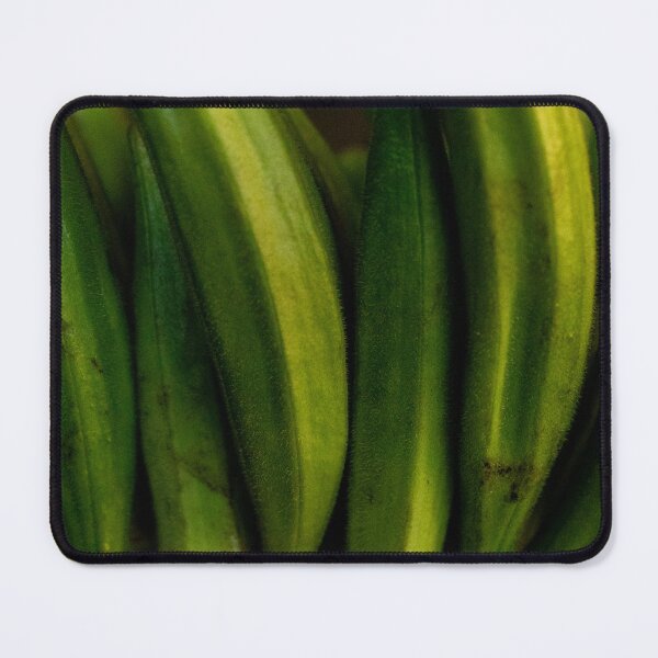 Item preview, Okra Pods Photographic Print designed and sold by thefoodframe.