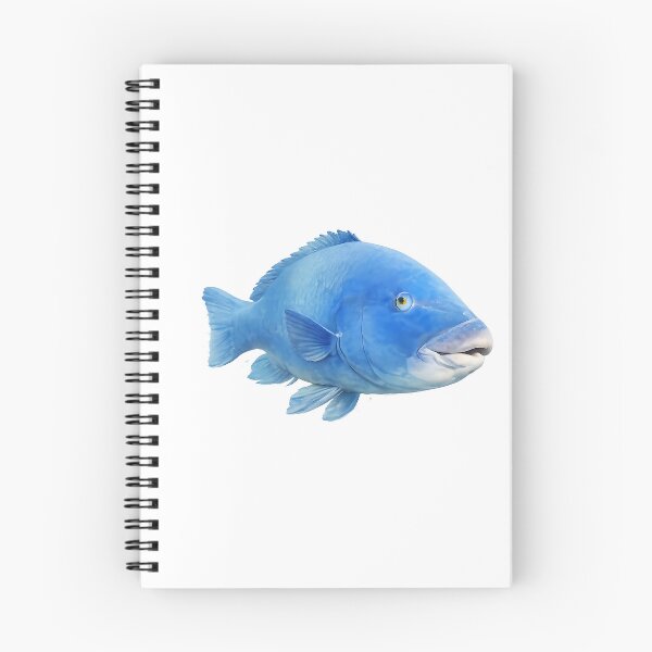 Item preview, Blue Groper — Painted NSW Reef Fish designed and sold by Jaruart.