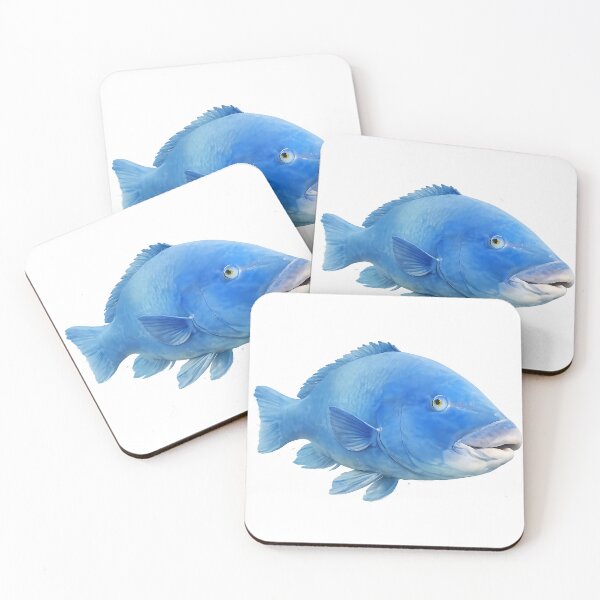 Item preview, Blue Groper — Painted NSW Reef Fish designed and sold by Jaruart.
