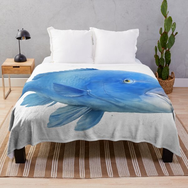Item preview, Blue Groper — Painted NSW Reef Fish designed and sold by Jaruart.