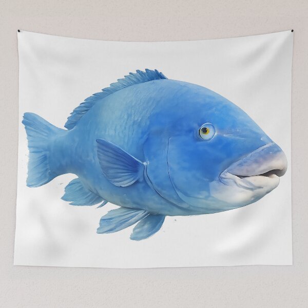 Item preview, Blue Groper — Painted NSW Reef Fish designed and sold by Jaruart.