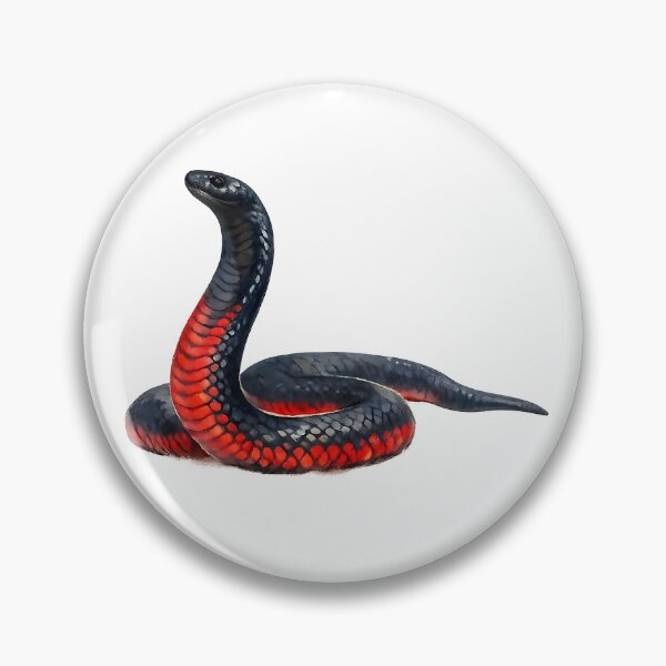 Item preview, Red-bellied Black Snake Watercolour Illustration designed and sold by Jaruart.