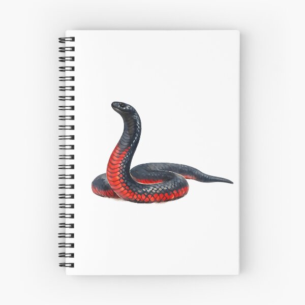 Item preview, Red-bellied Black Snake Watercolour Illustration designed and sold by Jaruart.