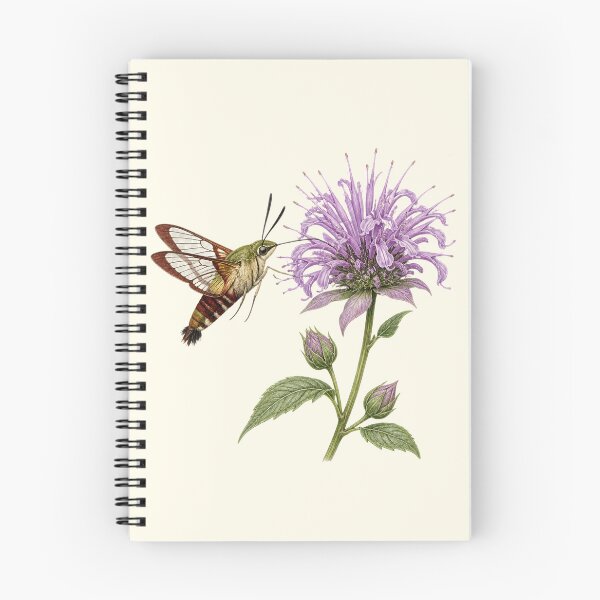 Item preview, Hummingbird Moth & Wild Bergamot Nature Study designed and sold by BloomStudio1.