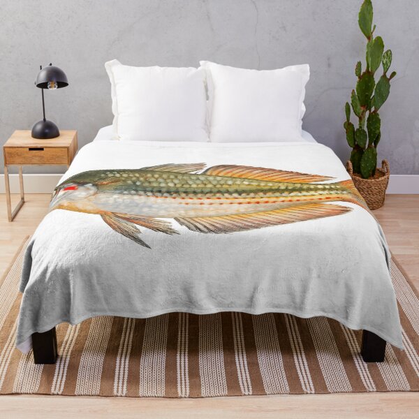 Item preview, Crimson-spotted Rainbowfish Watercolour — Native Fish designed and sold by Jaruart.