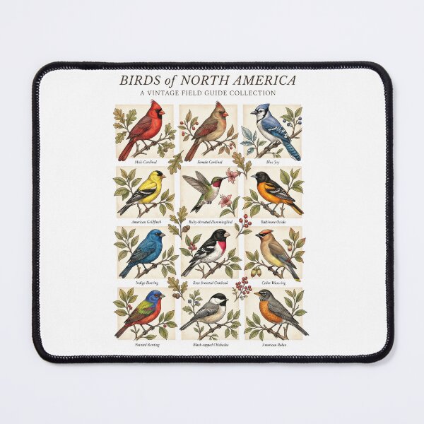 Item preview, Birds of North America Vintage Field Guide designed and sold by Roy & Tiffany.