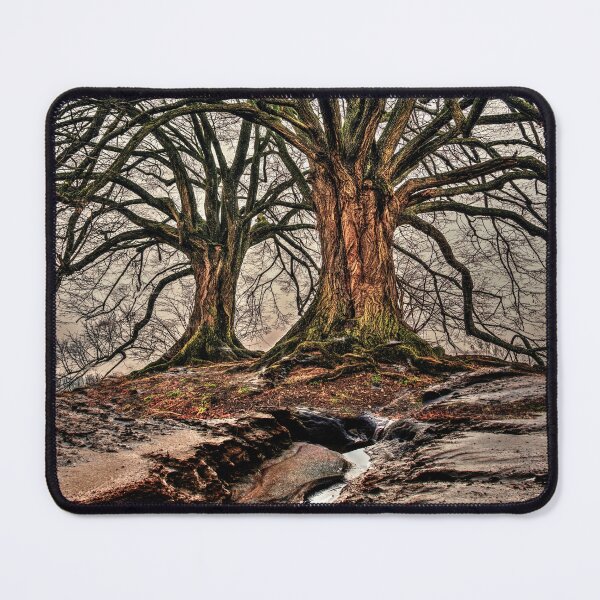 Item preview, Rooted and Grounded designed and sold by Vintage Art.