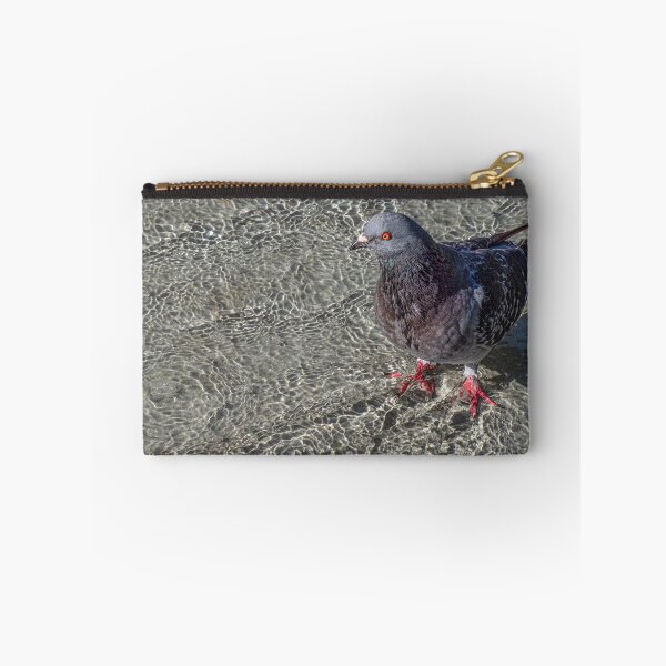 Item preview, Pigeon Wading in Shallow Water Feature designed and sold by Gerda Grice Photography.