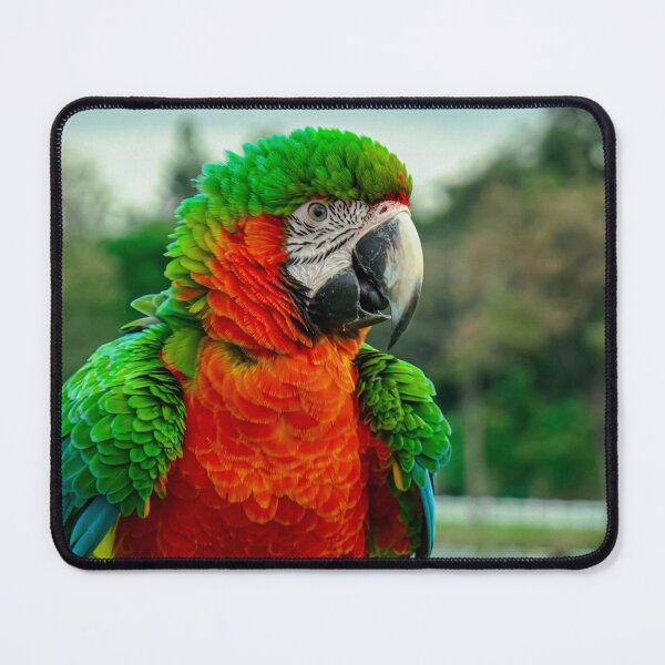 Item preview, Colorful Macaw Parrot Portrait in Green and Orange designed and sold by Jomsunshine.